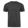 Koszulka męska t-shirt bawełniana antracyt Aleksander