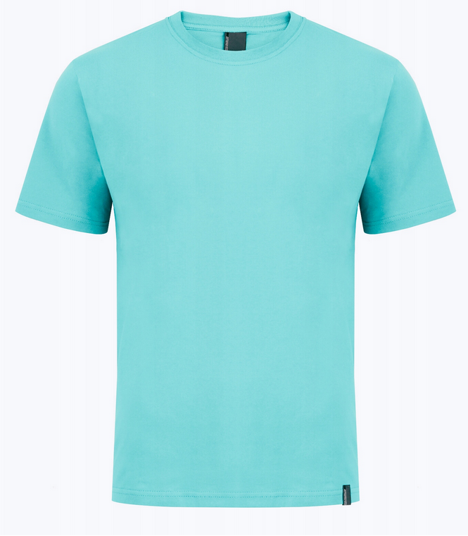 Koszulka męska t-shirt bawełniana miętowa Aleksander