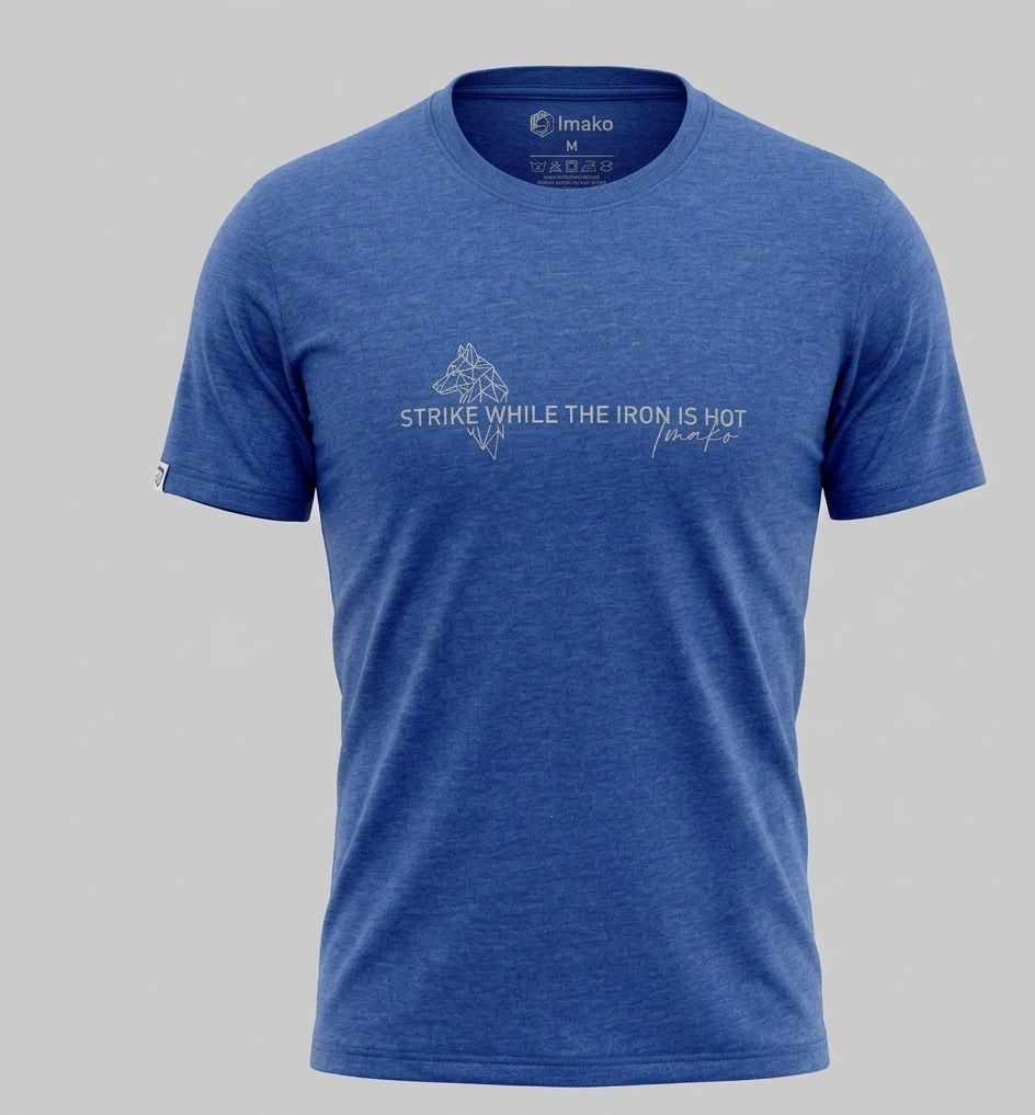 T-shirt męski niebieski Morgan